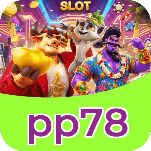 Interface pp78
